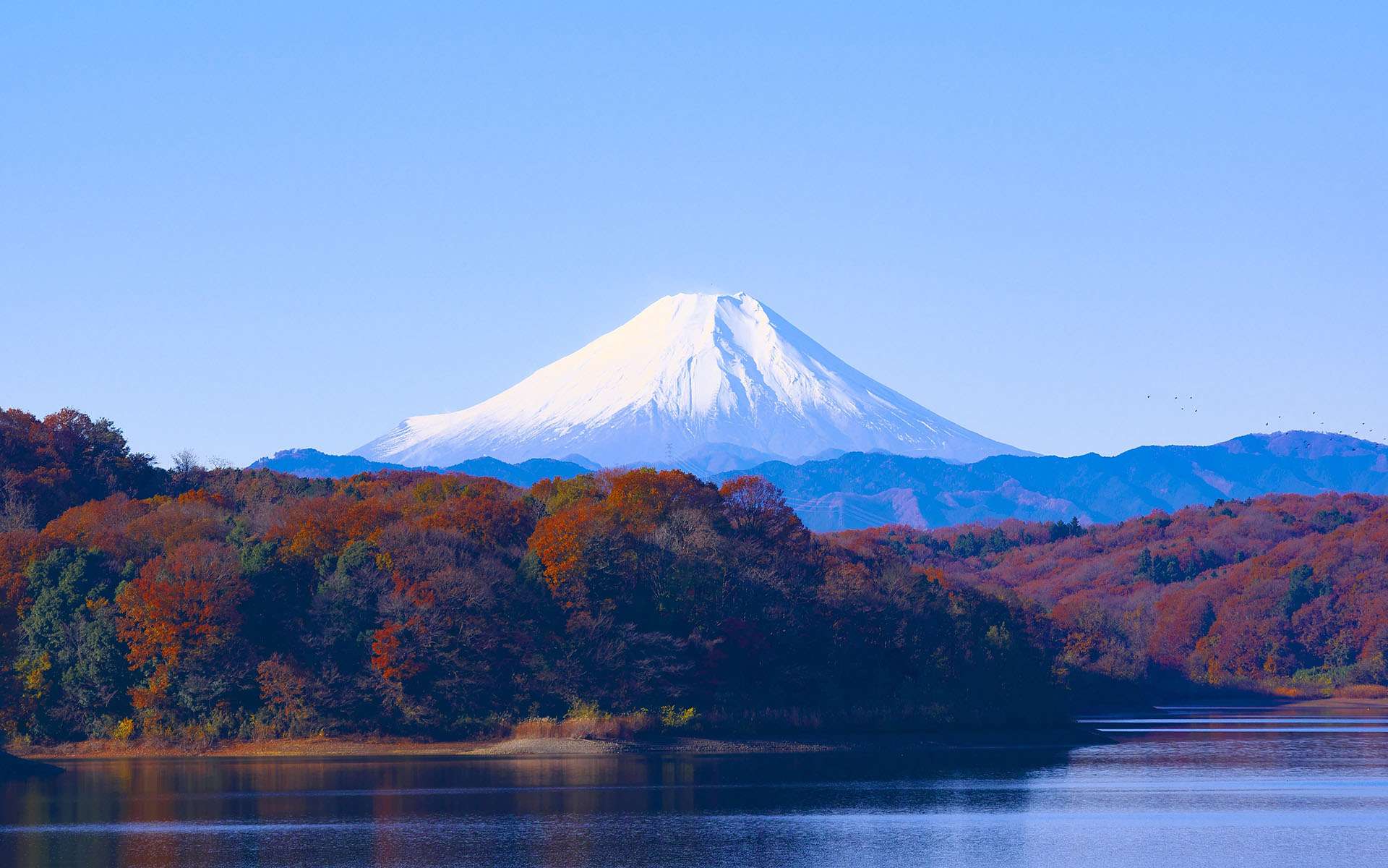 日語語法辨析之「～になる」和「となる」