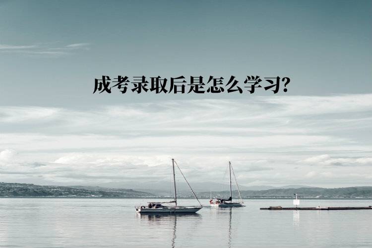 成考錄取后是怎么學(xué)習(xí)？