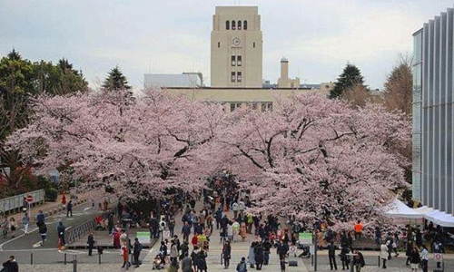 日本大學怎么樣？