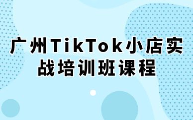 廣州TikTok小店實戰(zhàn)培訓(xùn)班課程