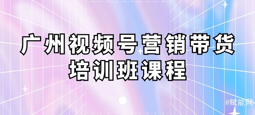 廣州視頻號(hào)營銷帶貨培訓(xùn)班課程